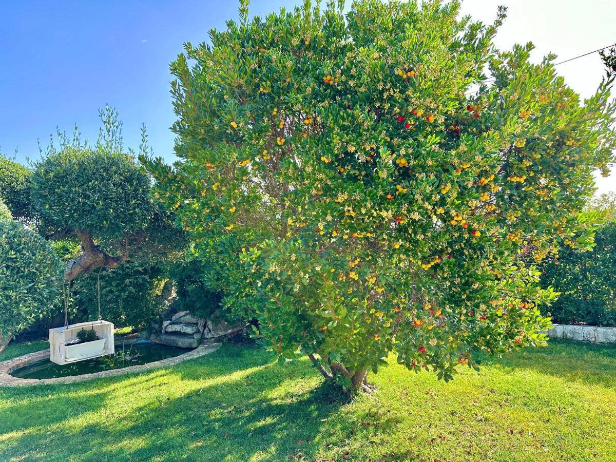 Trullo Il Carrubo Villa Alberobello Exterior photo